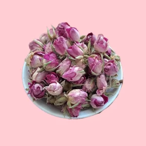 غنچه گل محمدی